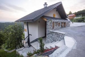 Šentvid pri StičniVineyard cottage Sonce的一间黑色屋顶的小房子