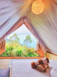 金塔马尼Bali Sunrise Camp & Glamping的一张位于带大窗户的帐篷内的床铺