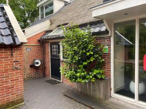 伊尔德帕特斯伍德Kindvriendelijk appartement de Hooge Stukken onder de rook van Groningen的隔壁有大灌木的砖房