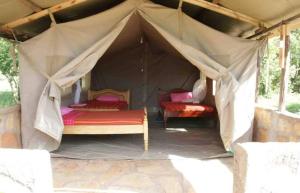 Sekenanileruk Maasai safari camp的帐篷内带两张床的房间