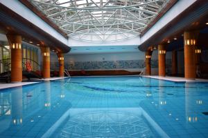 拉德博伊尔德累斯顿拉德博伊尔城市酒店的一座带天花板的酒店游泳池