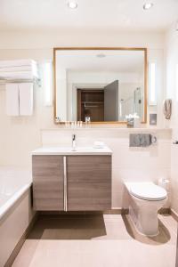 都柏林柯罗科公园酒店的一间带水槽、卫生间和镜子的浴室