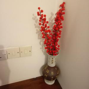 南威卡洛塔民宿的一张桌子上装满红浆果的花瓶