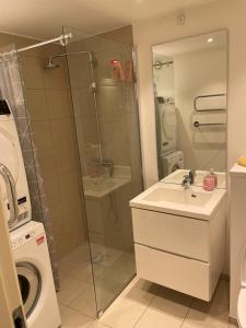 哥本哈根CPH Lux Apartments KH的带淋浴、盥洗盆和洗衣机的浴室