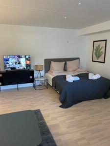 哥本哈根CPH Lux Apartments KH的一间卧室配有两张床和一台平面电视