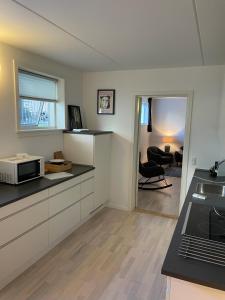 哥本哈根CPH Lux Apartments KH的厨房配有水槽和微波炉