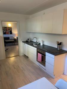 哥本哈根CPH Lux Apartments KH的厨房配有白色橱柜和炉灶烤箱。