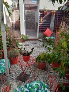 圣克莱门特雷图尤帕拉伊索公寓的种有盆栽植物的庭院和一张带小径的桌子