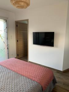 LorgiesLes Chambres de Lily 1的一间卧室配有一张床和一台平面电视
