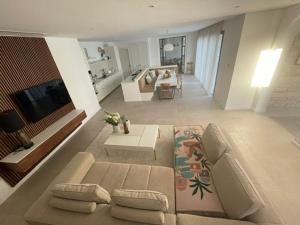 帕福斯Paphos luxury contemporary villa的带沙发和电视的大型客厅