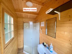 MadawaskaAlgonquin Madawaska Lodge Cottage Glamping Cabins的一间带水槽和淋浴间的浴室