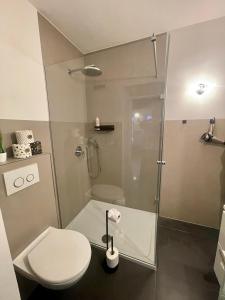 帕绍Apartment threeRivers的一间带卫生间和玻璃淋浴间的浴室