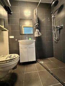 沙勒罗瓦Albert 20 Brussels-charleroi-airport的一间带卫生间和水槽的浴室