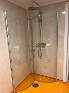 BoverdalenNørdre-Repp的浴室里设有玻璃门淋浴