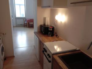 维也纳Vienna as it's best - Apartment "Egon Schiele"的厨房配有台面和炉灶。 顶部烤箱