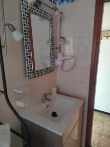 戈梅拉岛圣塞瓦斯蒂安Mirador Vista Palacios的一间带水槽和镜子的浴室