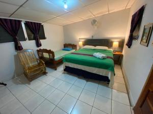 San Rafael CedrosNanda Parbat Hostal的一间卧室配有一张床和一把椅子