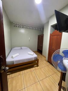 伊基托斯Alojamiento tahuari的一间卧室配有一张床、一台电视和一把椅子