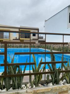 萨利纳斯Villa en Salinas vía Punta Carnero的从仙人掌房子里可欣赏到游泳池的景色