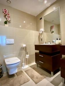 波亚纳布拉索夫Happy Place的一间带卫生间、水槽和镜子的浴室