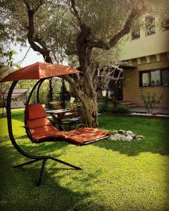尼基季Vintage Home的树前的椅子和雨伞