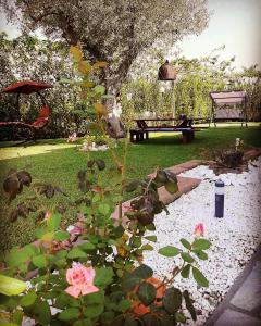 尼基季Vintage Home的一个带池塘、长凳和粉红色玫瑰的花园