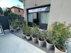 博洛尼亚TRETRE的坐在阳台上的一排盆盆栽植物