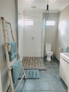 鲁德普特River Cabin的带淋浴和卫生间的浴室