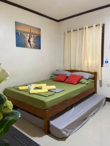 邦劳Alona Bohol Backpackers Hostel的一间卧室配有带绿色床单和红色枕头的床