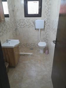 索科矿泉村Beli Ocnjak的一间带卫生间和水槽的浴室