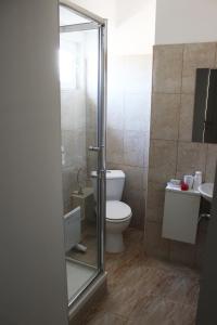 SăcueniVILA ONIX的一间带卫生间和玻璃淋浴间的浴室