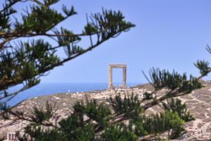 纳克索乔拉Mariet Naxos Spa & Suites的一座树冠茂密的山顶上的纪念碑
