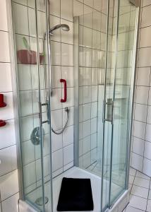 迈宁根Anton-Ulrich Apartment的玻璃门淋浴和黑色垫子