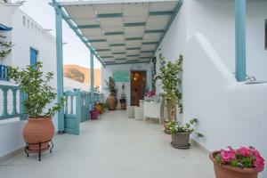阿斯提帕莱亚镇阿芙罗狄蒂一室公寓的植物盆栽的建筑物的走廊