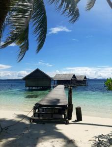 Pulau MansuarFrances Homestay - Raja Ampat的海滩上的码头,有房子在水里