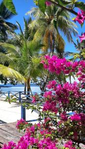 Pulau MansuarFrances Homestay - Raja Ampat的棕榈树前的一束粉红色的花