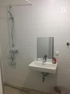 格蒙登Apartment zur schönen Sophie的白色的浴室设有水槽和镜子