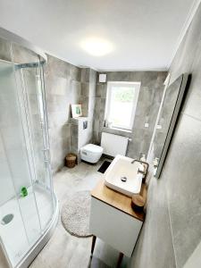Mont-Saint-GuibertStudio Autonome Mont Saint Guibert的带淋浴、盥洗盆和卫生间的浴室