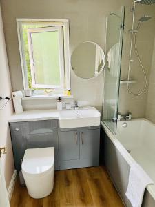 阿伯加文尼Tanglewood house Abergavenny with private parking的一间带水槽、卫生间和淋浴的浴室