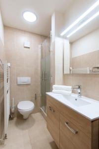 布拉格Billionaires Club LOFT Sauna City Center的浴室配有卫生间、盥洗盆和淋浴。