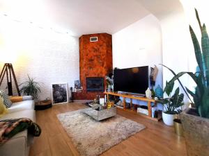 西尔韦斯Silves Country Room的客厅配有平面电视和沙发。