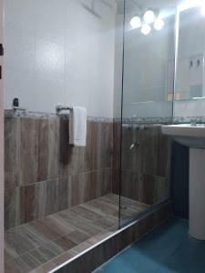 埃尔卡拉法特皮科斯戴尔苏尔酒店的一间带玻璃淋浴和水槽的浴室