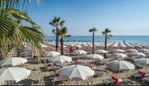 葛伦坦马勒黎莱斯康科德公寓式酒店的一片拥有白色遮阳伞和棕榈树的海滩和大海