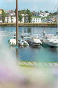 孔迪镇Naval Guest House & Bistrô的一群船停靠在码头