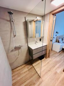 布鲁塞尔Residential area - quiet place的带淋浴、盥洗盆和镜子的浴室