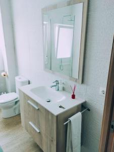 潘普洛纳Precioso apartamento en Pamplona junto al centro的一间带水槽、镜子和卫生间的浴室