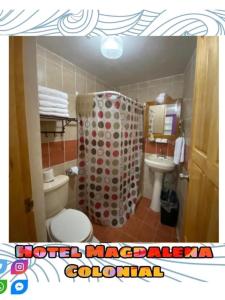 瓜纳华托Hotel Magdalena Colonial的一间带卫生间和淋浴帘的浴室