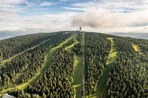 亚希莫夫Apartmány nad Šlikovkou的山丘上树木林的空中景色