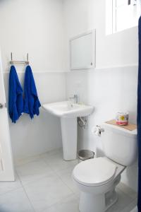 霍普金斯丽都旅馆的白色的浴室设有卫生间和水槽。