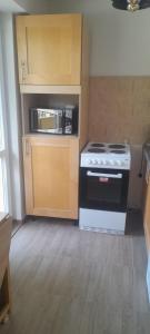 蒙塔纳Pliska apartment的厨房配有炉灶和微波炉。